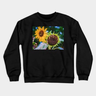 Sunflower Sister Photograph Crewneck Sweatshirt